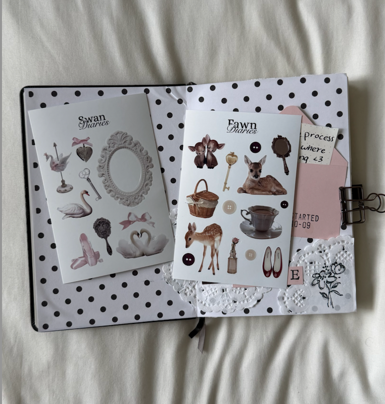 Swan and Fawn Diaries