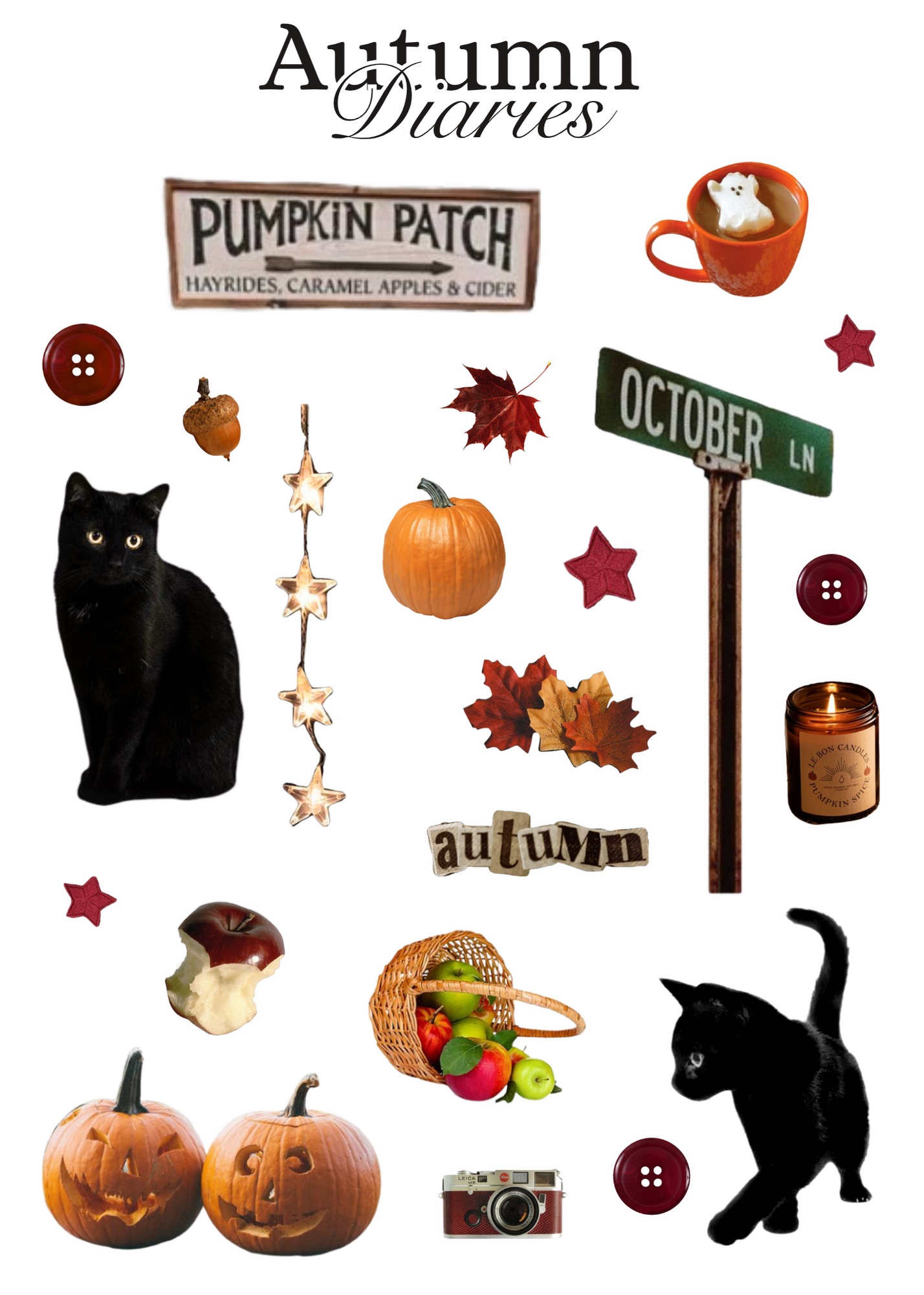 Autumn Diaries Sticker sheet
