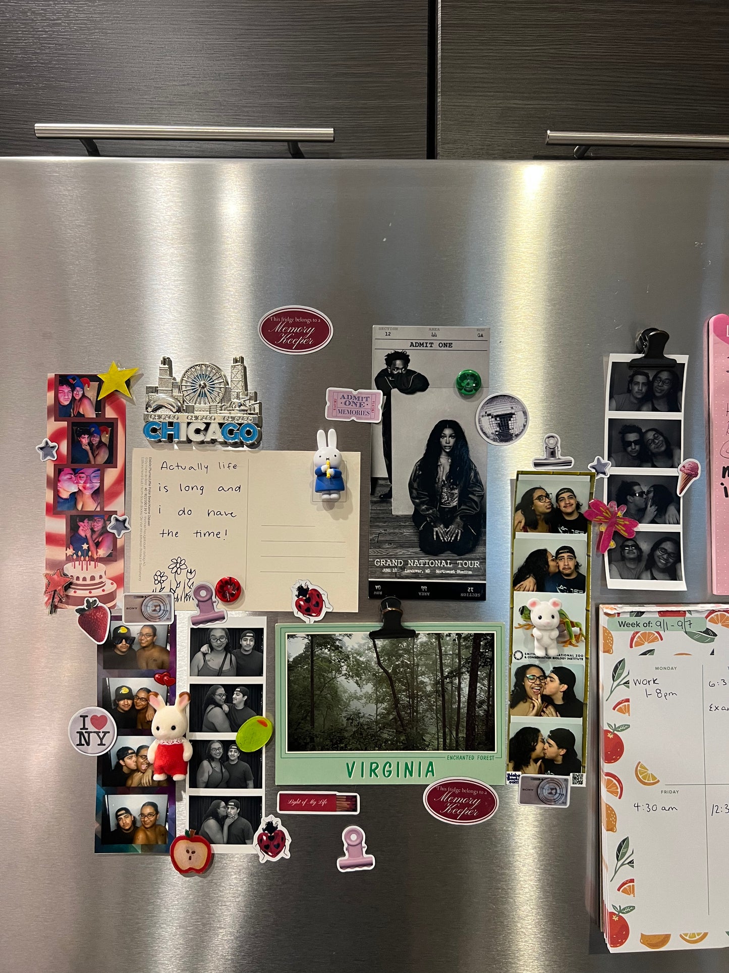 Memory Collector Magnet Sheet