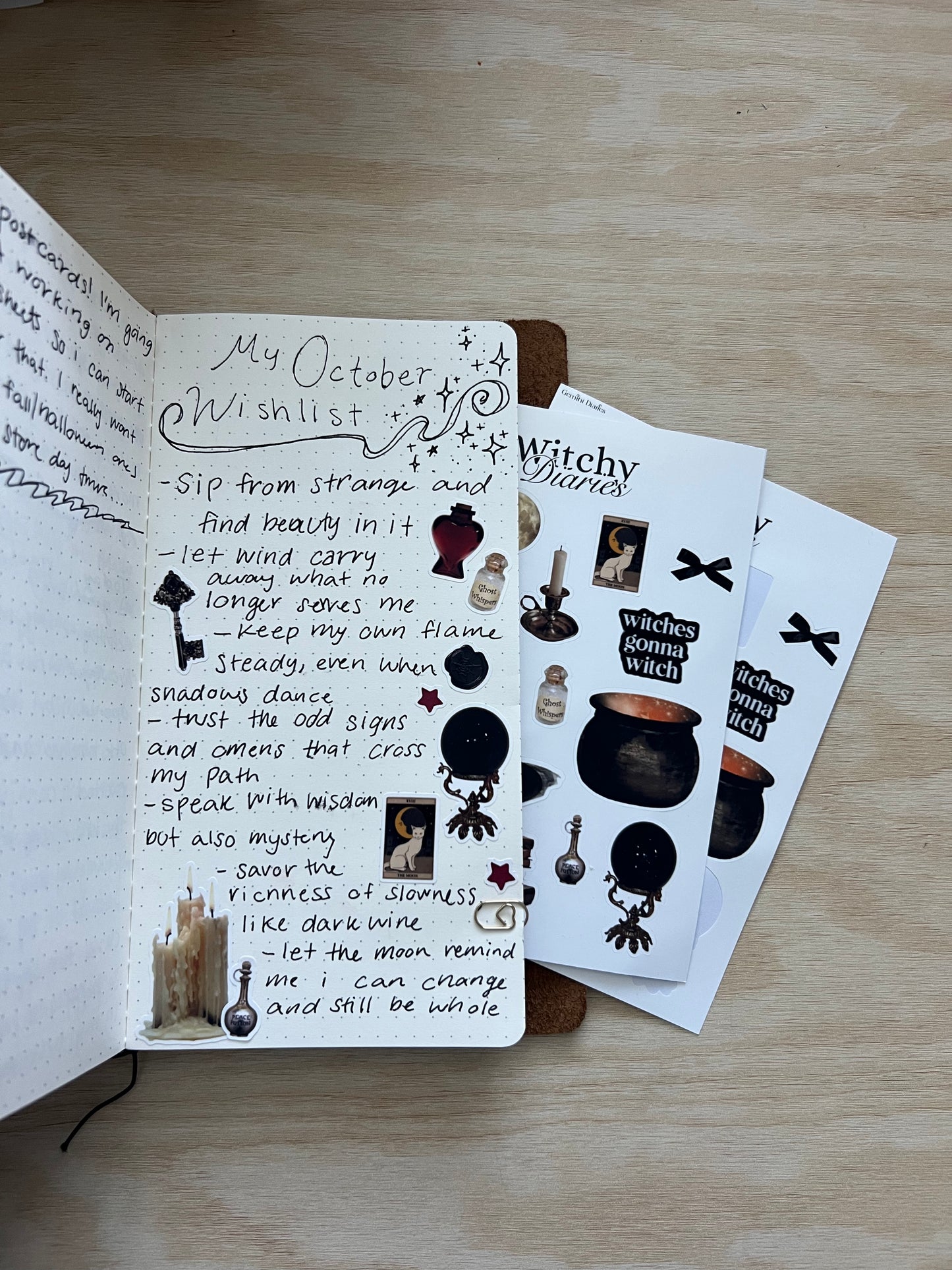 Witchy Diaries Sticker sheet